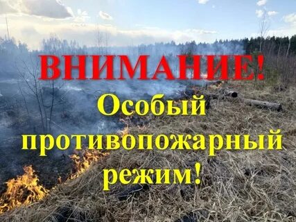 На территории п.Кедровый введен особый противопожарный режим.