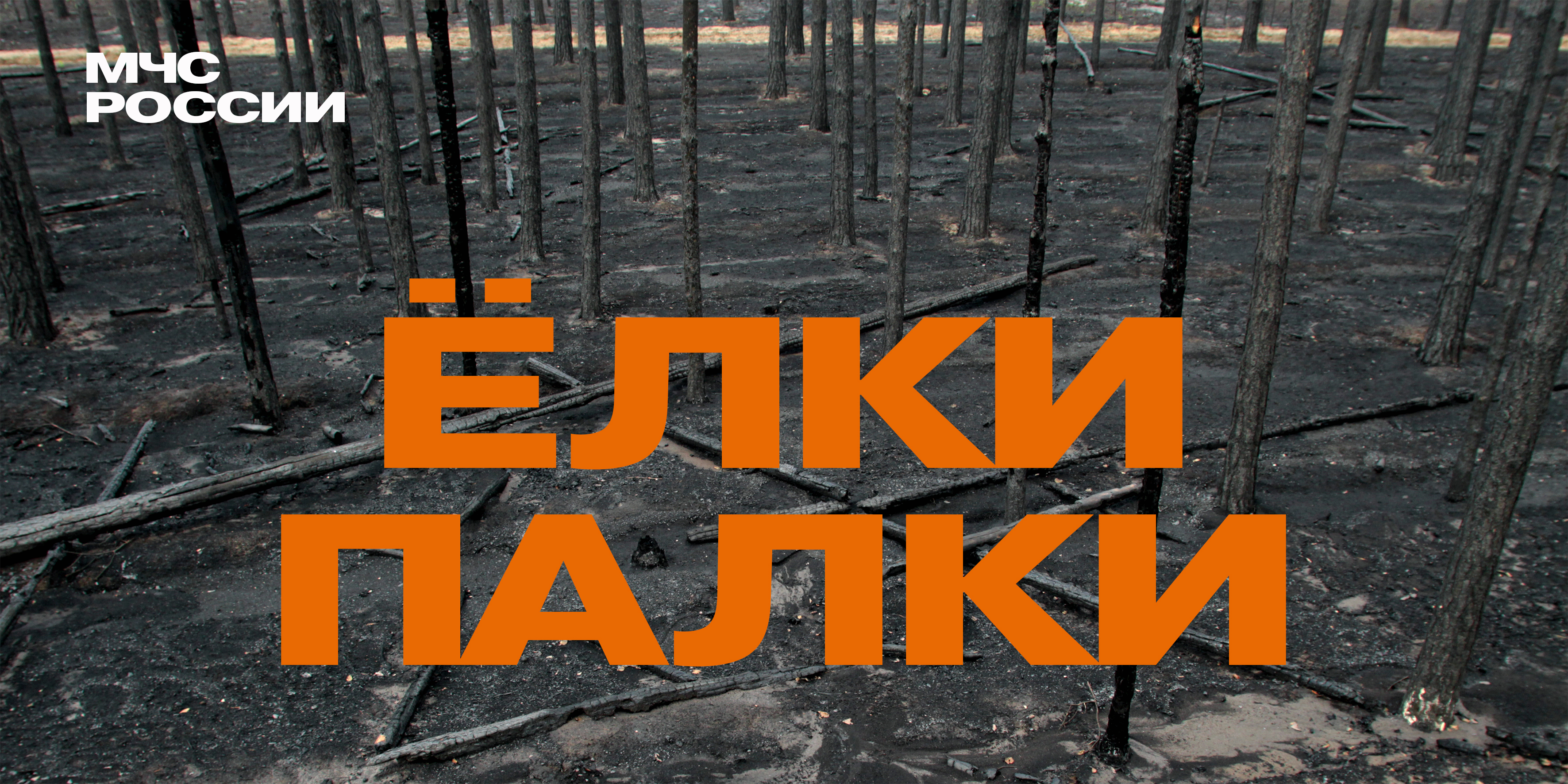 Правила поведения при лесных пожарах.
