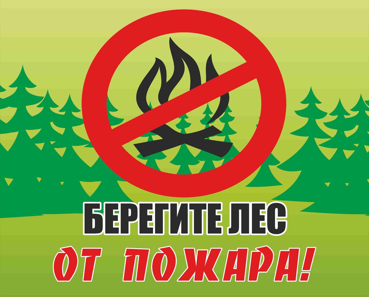 Правила поведения при лесных пожарах.