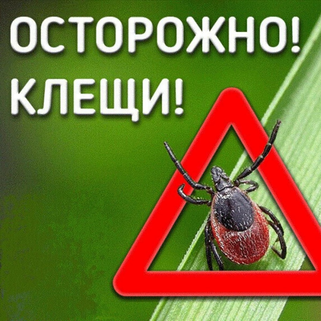 Осторожно клещи!!!.