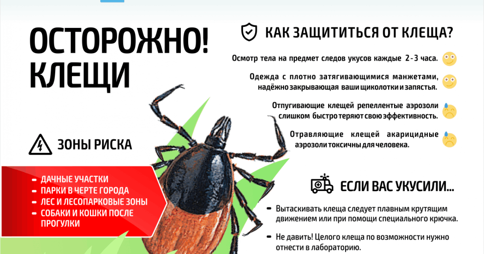 Осторожно, клещи!.