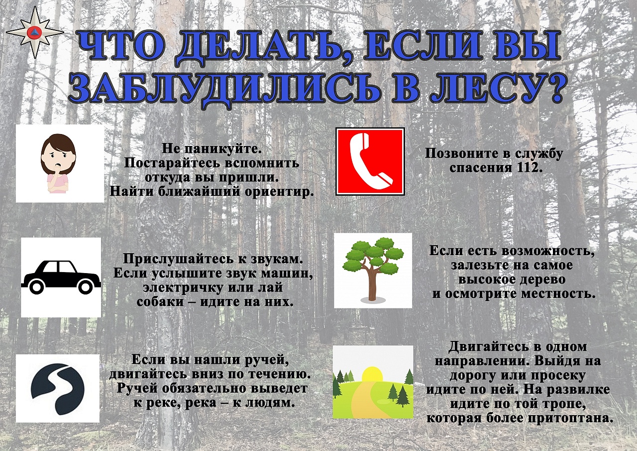 Правила поведения в лесу..