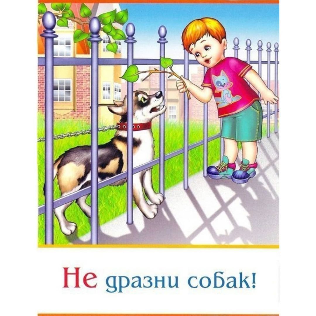 Действия при нападение собак..