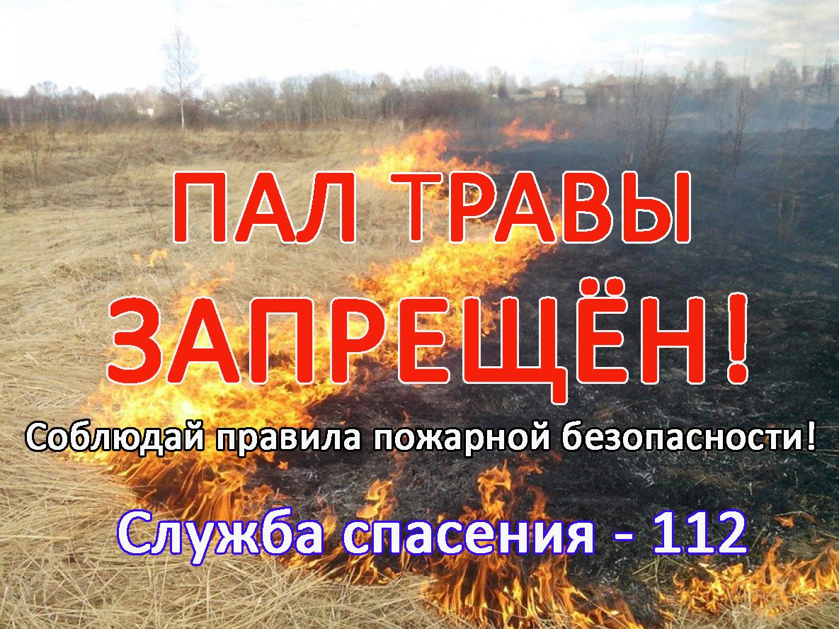 Пал сухой травы ЗАПРЕЩЕН!!.