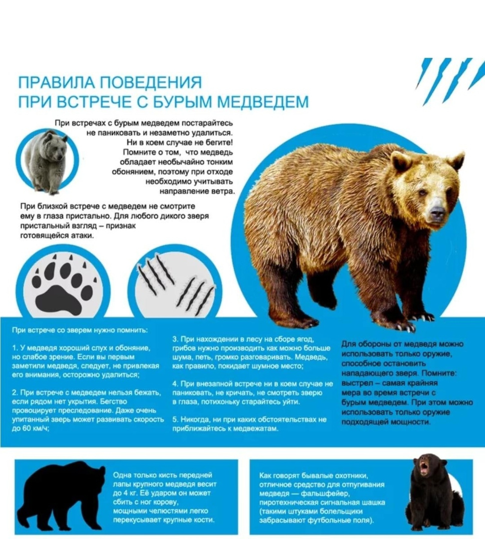 Как избежать встречи с медведем!!!.