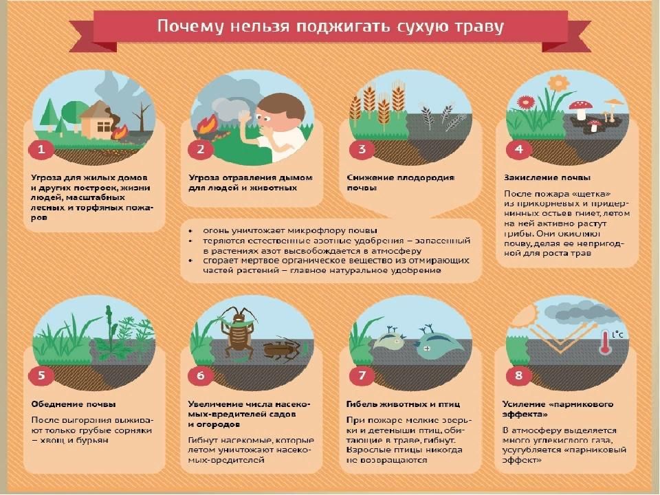 Пал сухой травы ЗАПРЕЩЕН!!.
