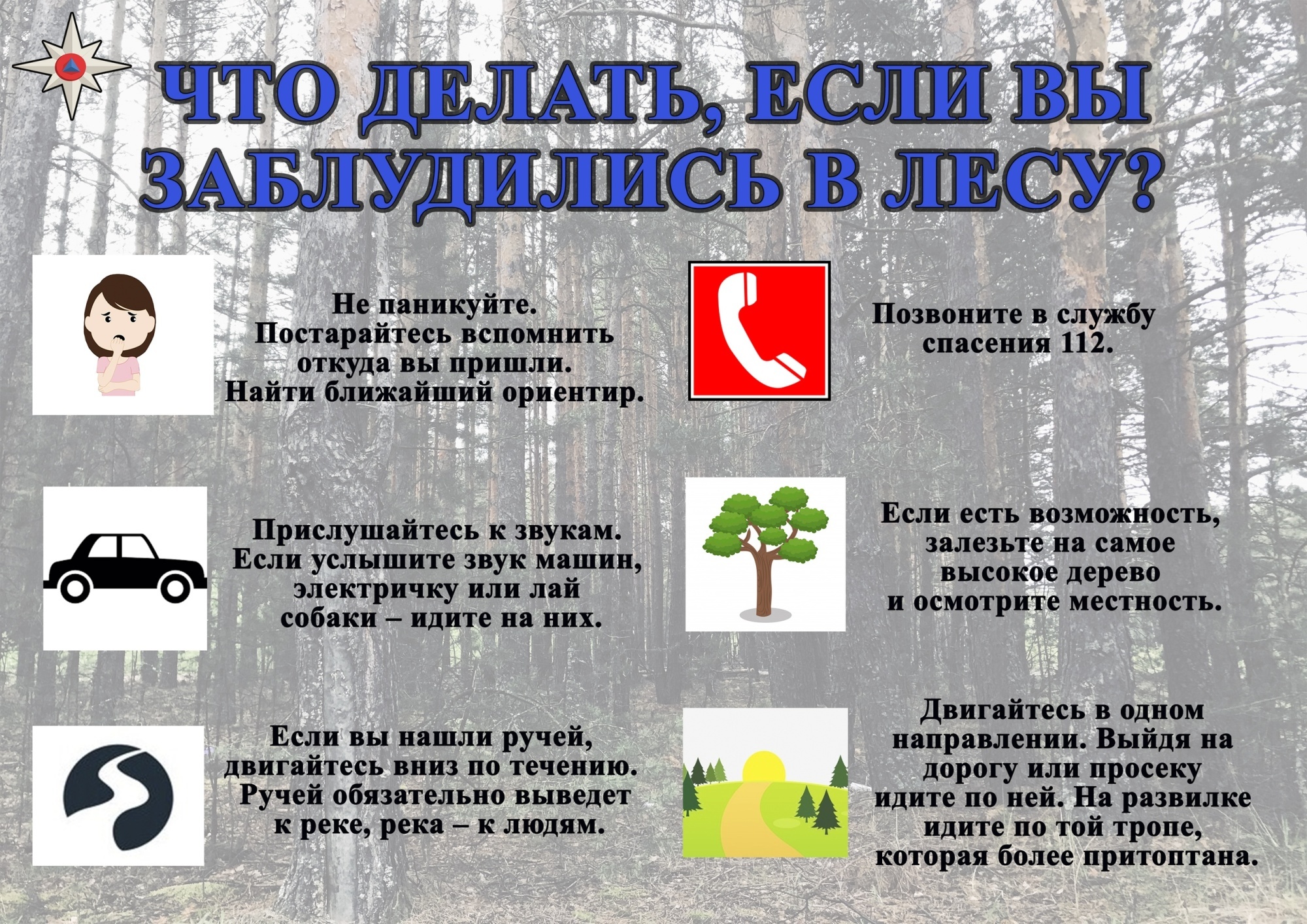 Правила безопасного поведения в лесу!.