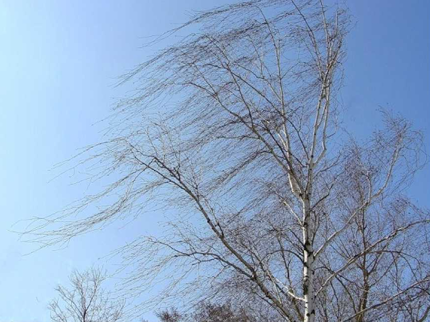Предупреждение о неблагоприятных явлениях погоды на 27.04.2025 г..
