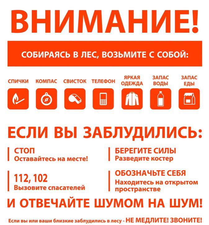 Правила поведения в лесу..
