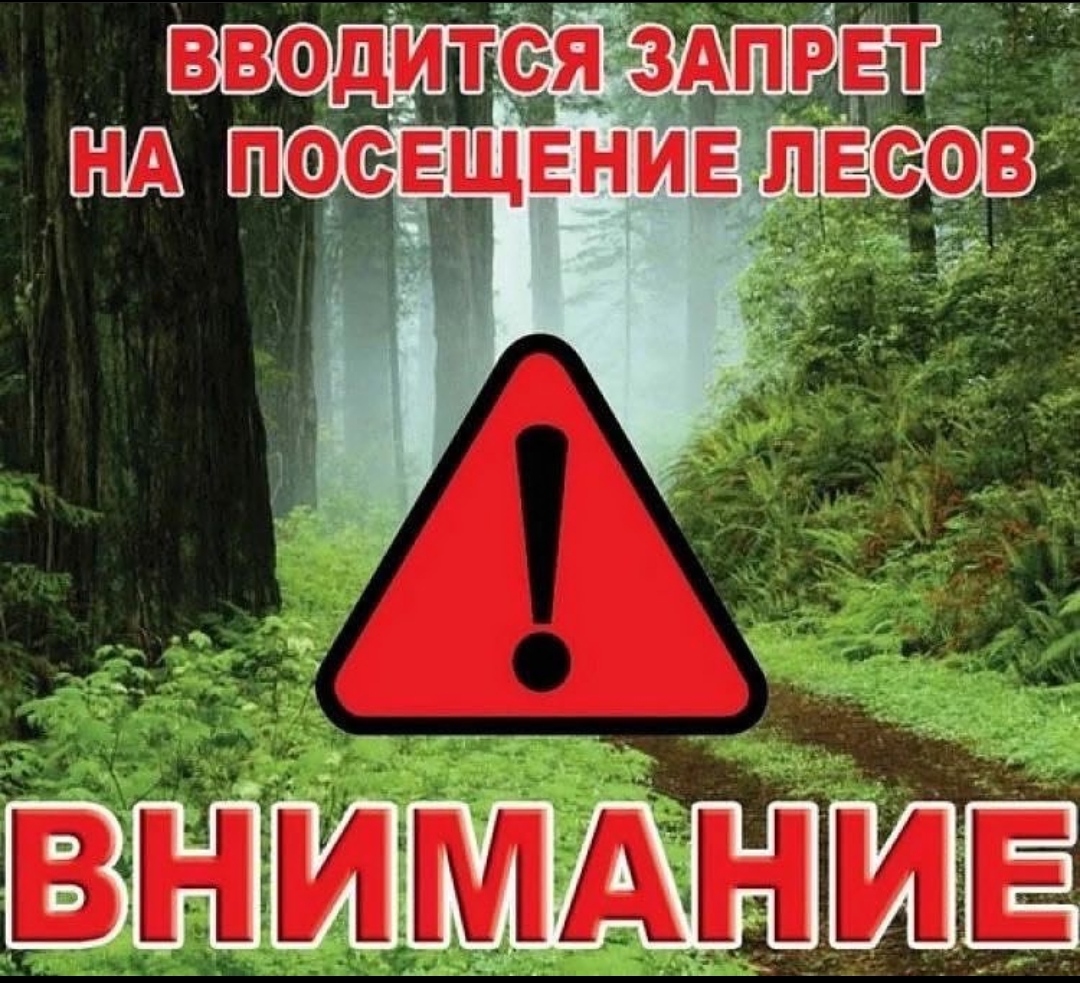 Внимание!Вводится ограничение на посещение лесов военного лесничества ФГАУ.