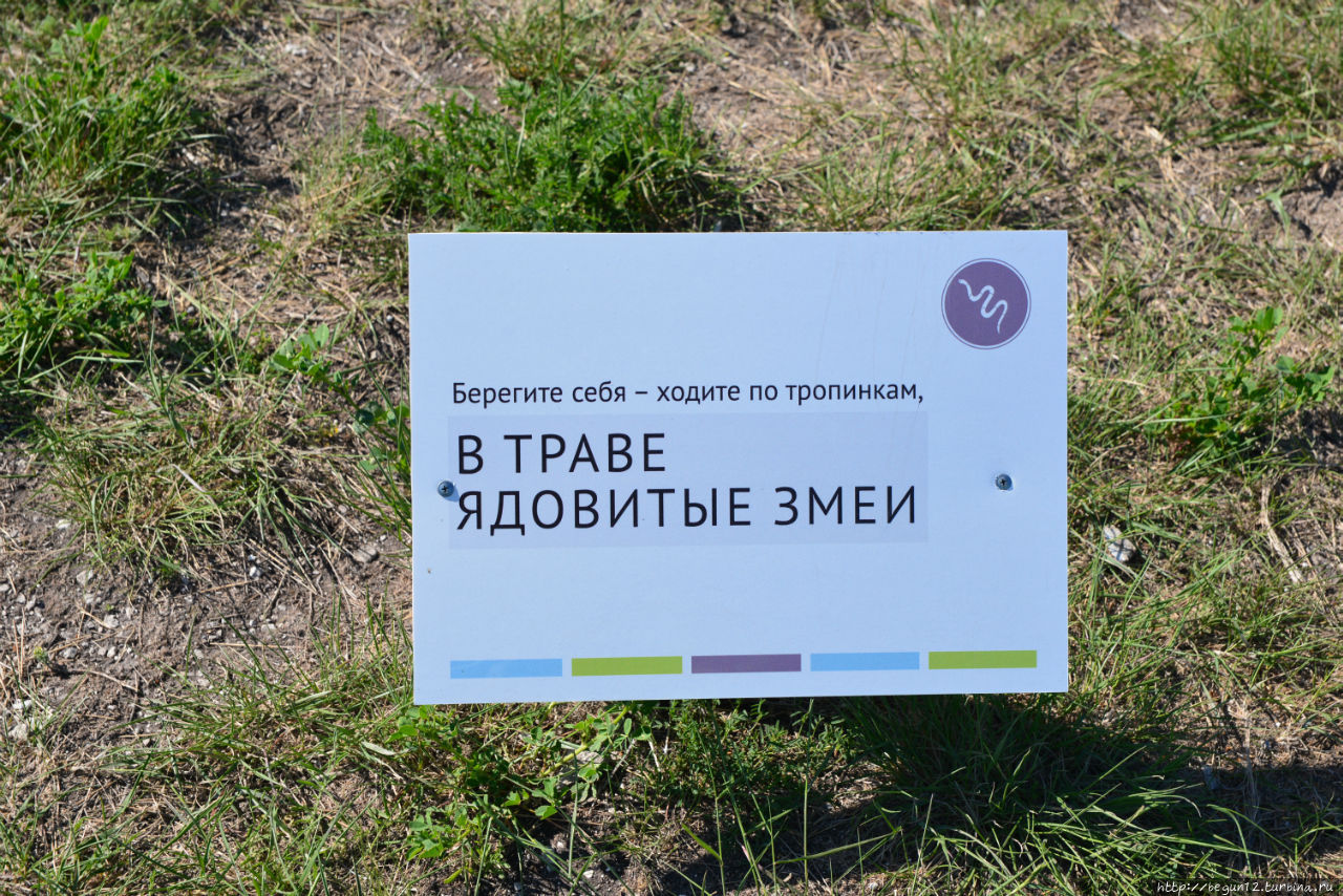 Правила поведения при встрече со змеями..