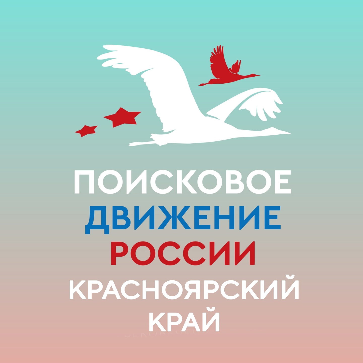 Поисковое движение России.