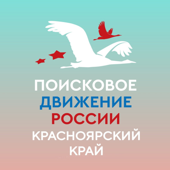 Поисковое движение России. Поисковое движение России.