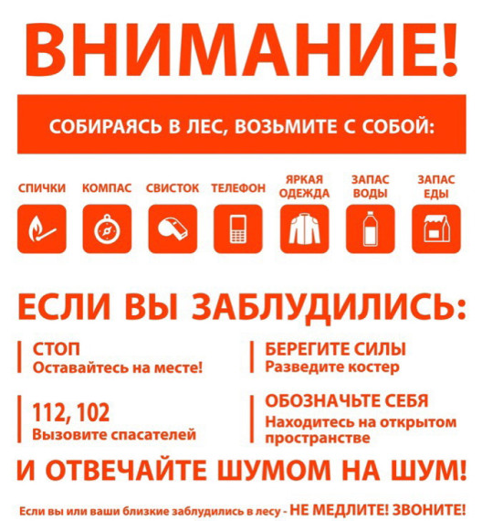 Правила поведения в лесу.. Правила поведения в лесу..