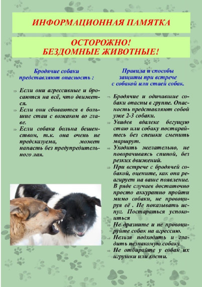 Осторожно, бродячие собаки!. Осторожно, бродячие собаки!.