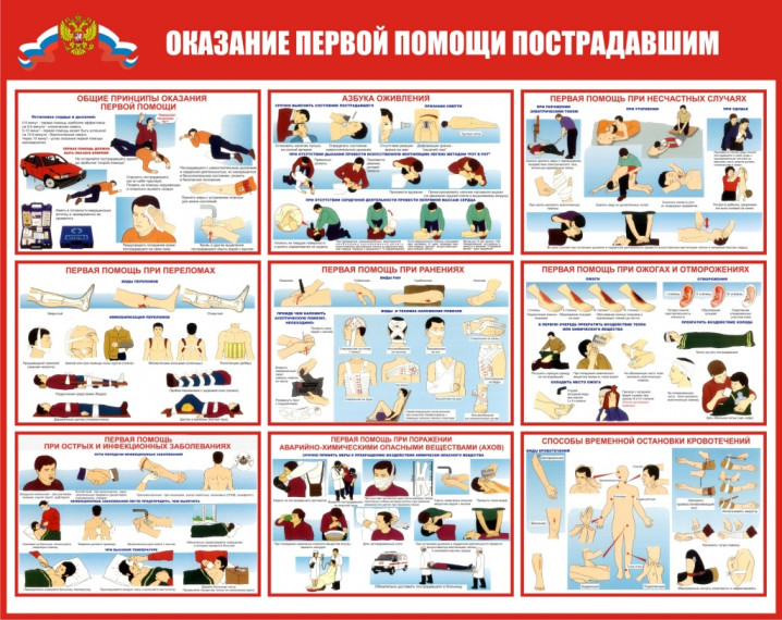 Оказание первой помощи. Оказание первой помощи.